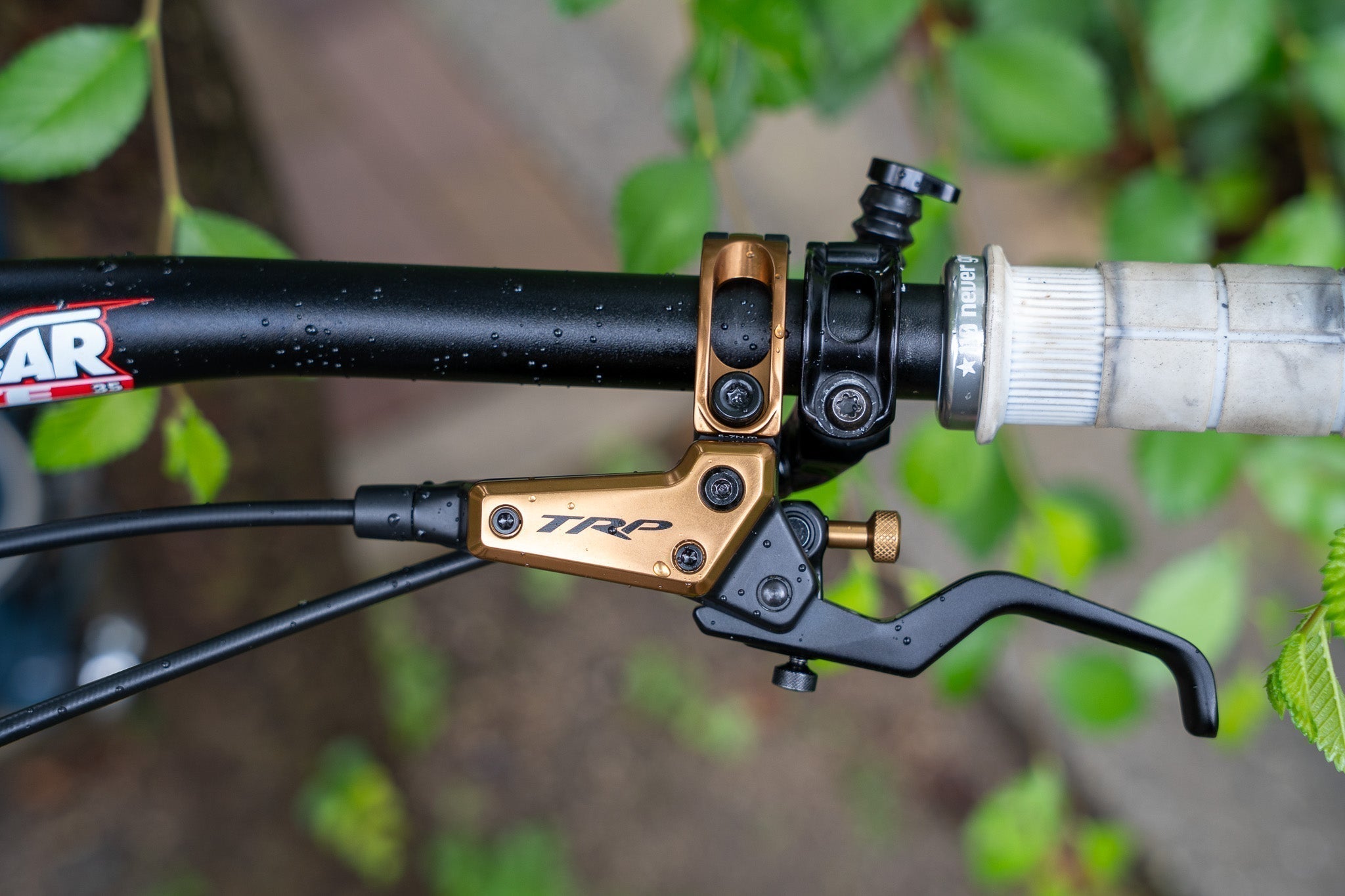 DSC07314_9a0ad783-4334-469f-