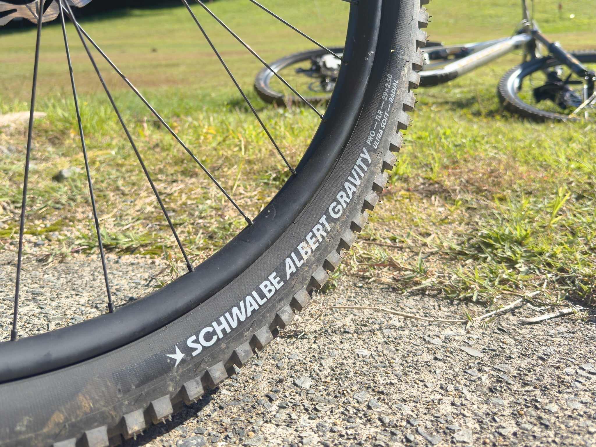 Schwalbe ALBERT シュワルベ アルバート MTBタイヤ レビュー – Grumpy