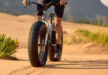 画像をギャラリービューアに読み込む, Surly Moonlander 完成車