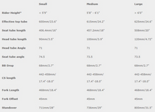 Load image into Gallery viewer, 【中古】VASSAGO Jobberwacky & ODISフォーク Mサイズ