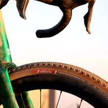 Load image into Gallery viewer, Vittoria Terreno PRO T30