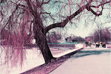 Load image into Gallery viewer, Analogue Quartet Mixed Film Pack 35mm