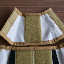 Load image into Gallery viewer, RESISTANT PLATE CARRIER CARRADICE Bagmanカバー レジスタント 簡易Rラック サドルバッグ