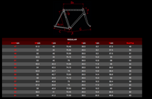 Load image into Gallery viewer, DEROSA NEOPRIMATO Bordeaux White Glossy デローザ  ネオプリマート