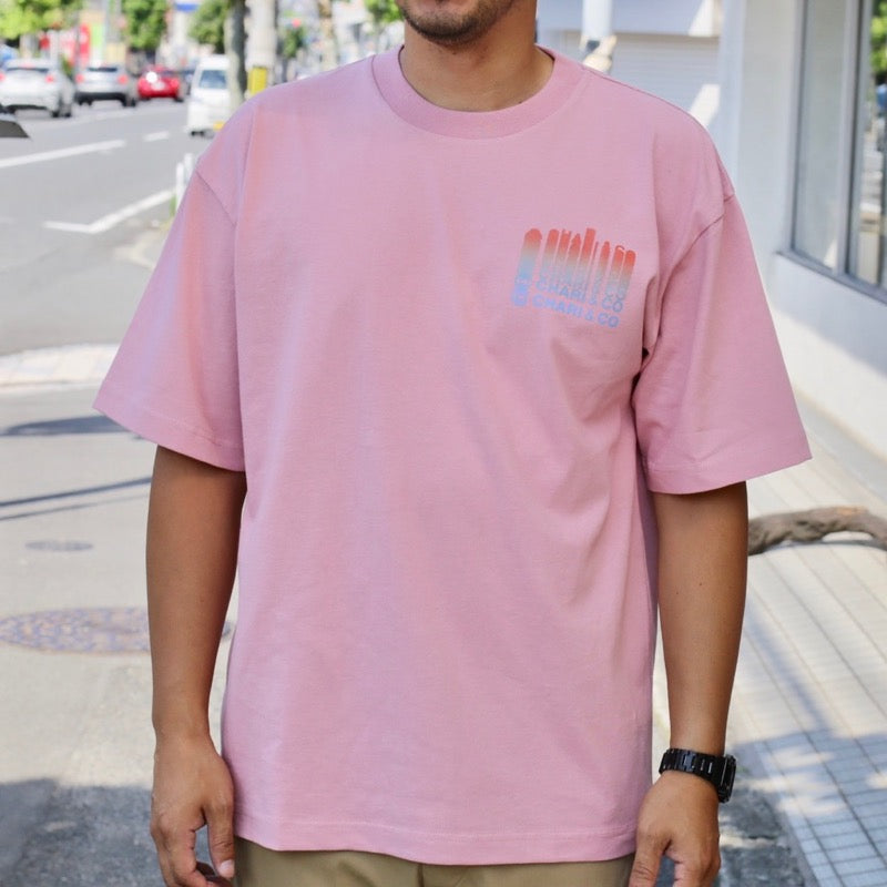 50%off】Chari&Co DROPPING LOGO TEE Tシャツ Lサイズのみ