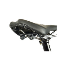 Load image into Gallery viewer, Revelate Designs スパインロック・サドルバッグ 10L レベレイトデザイン サドルバッグ バイクパッキング シートポスト取り付け マウンテンバイク向き