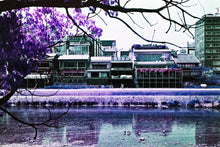 Load image into Gallery viewer, LomoChrome Purple 35 mm ISO 100–400