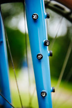 Load image into Gallery viewer, PDW Zit Bitz ジット・ビッツ ANOカラー