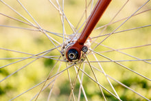 Load image into Gallery viewer, PDW Zit Bitz ジット・ビッツ ANOカラー