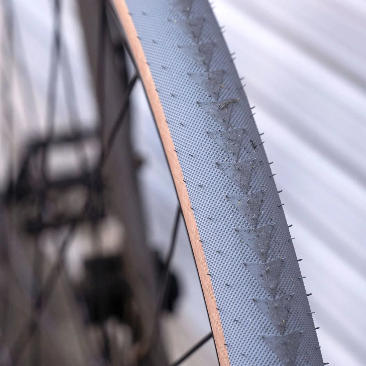 ULTRADYNAMICO cava race tire (700c×33.??) [gray / amber] ウルトラ