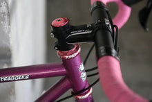 画像をギャラリービューアに読み込む, Surly / Straggler 42
