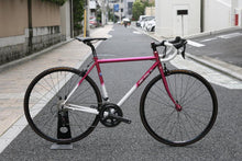 画像をギャラリービューアに読み込む, All City / MR PINK 49
