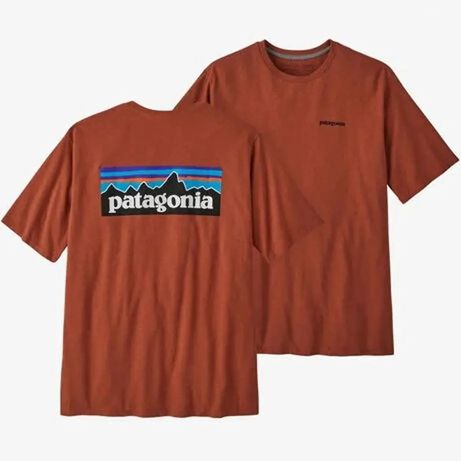 Patagonia  メンズ P 6ロゴ レスポンシビリティー  パタゴニア #38504 Tシャツ