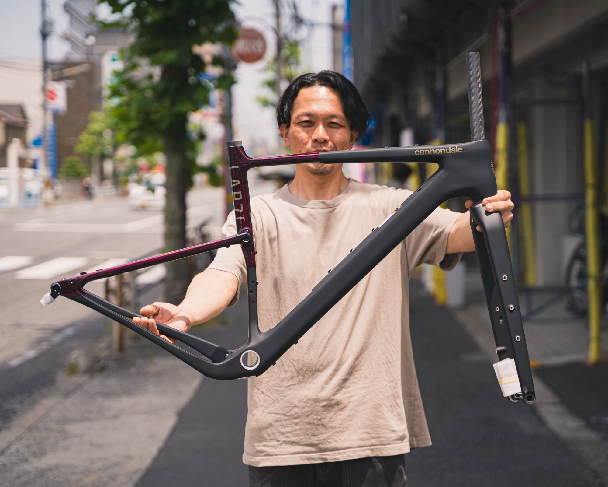CANNONDALE Topstone LAB71 フレームセット キャノンデール