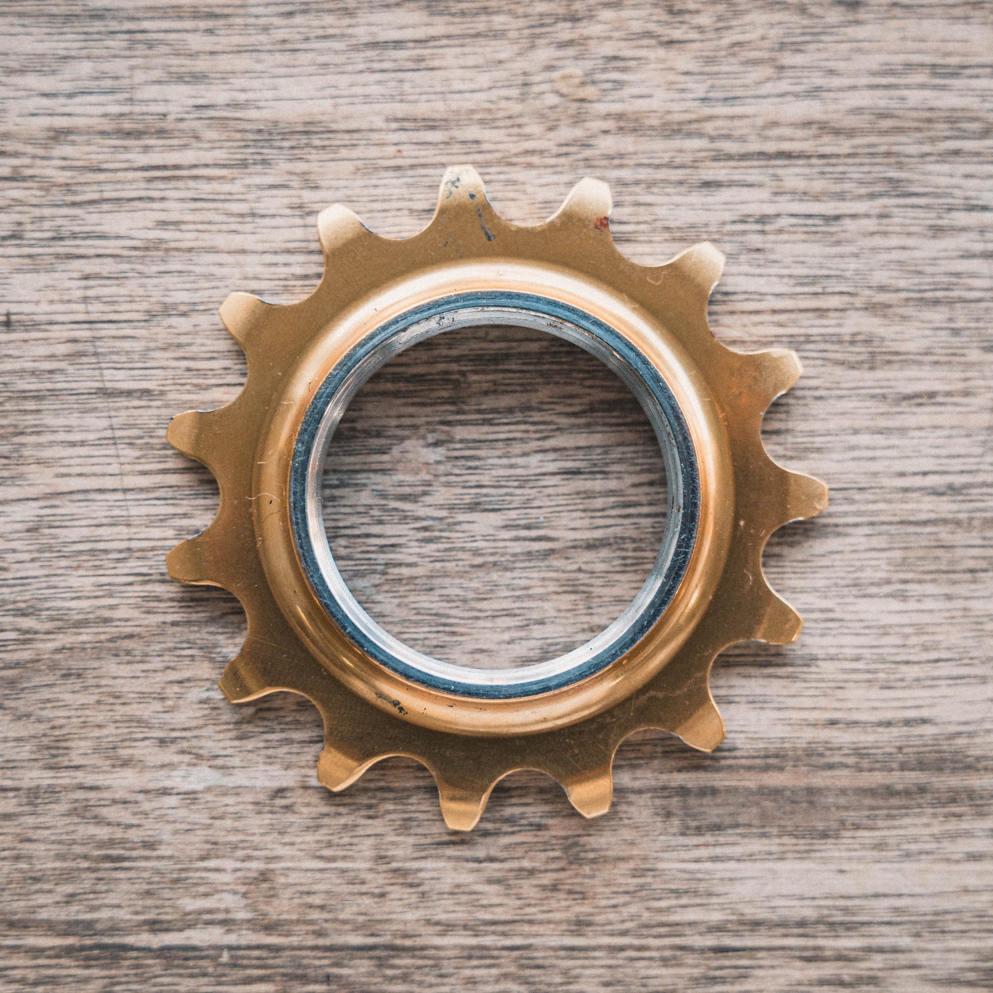 ユーロアジア コグ 15t 【公式通販】