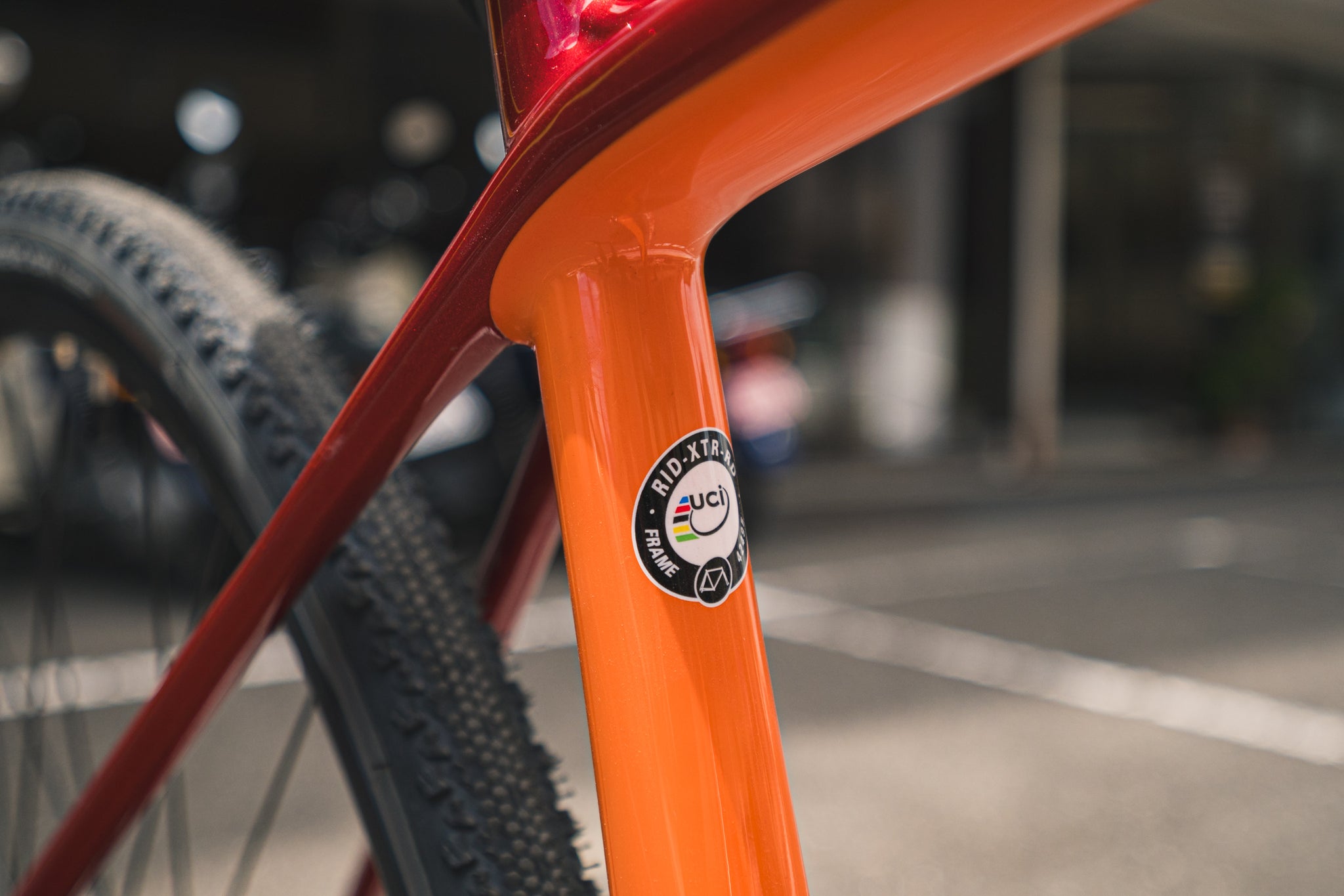 1台限り】RIDLEY Kanzo Speed 完成車 XSサイズ – Grumpy Bike Shop