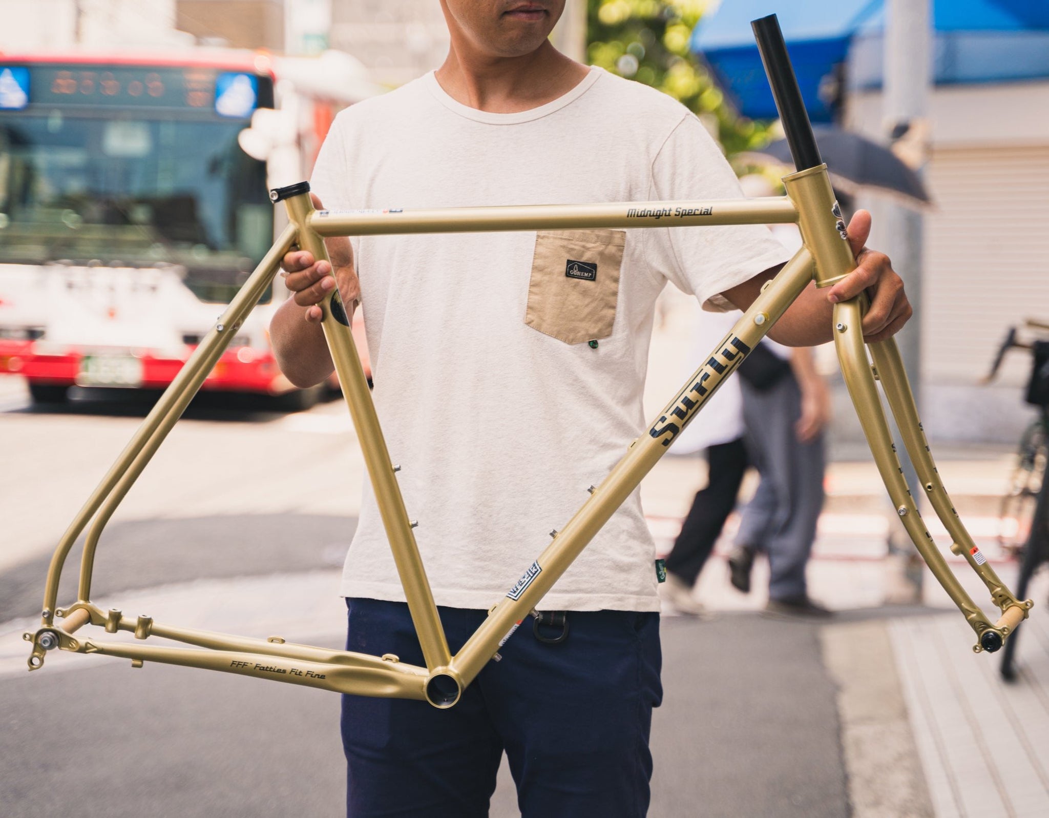 サリー Surly Midnight Special フレームセット サーリー – Grumpy Bike Shop