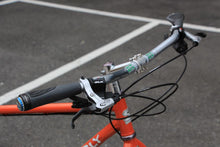 画像をギャラリービューアに読み込む, Surly / Troll long tail bike
