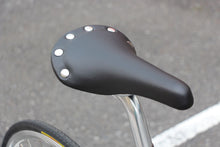Load image into Gallery viewer, Starfuckers / steelera

