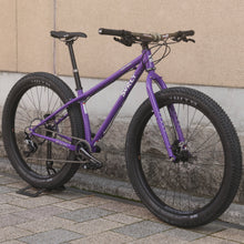 Load image into Gallery viewer, Surly / karate monkey S
