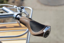Load image into Gallery viewer, Surly / Karate Monkey
