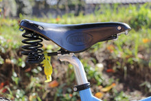 Load image into Gallery viewer, Surly / Karate Monkey
