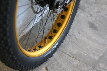 Load image into Gallery viewer, Surly / Pugsley
