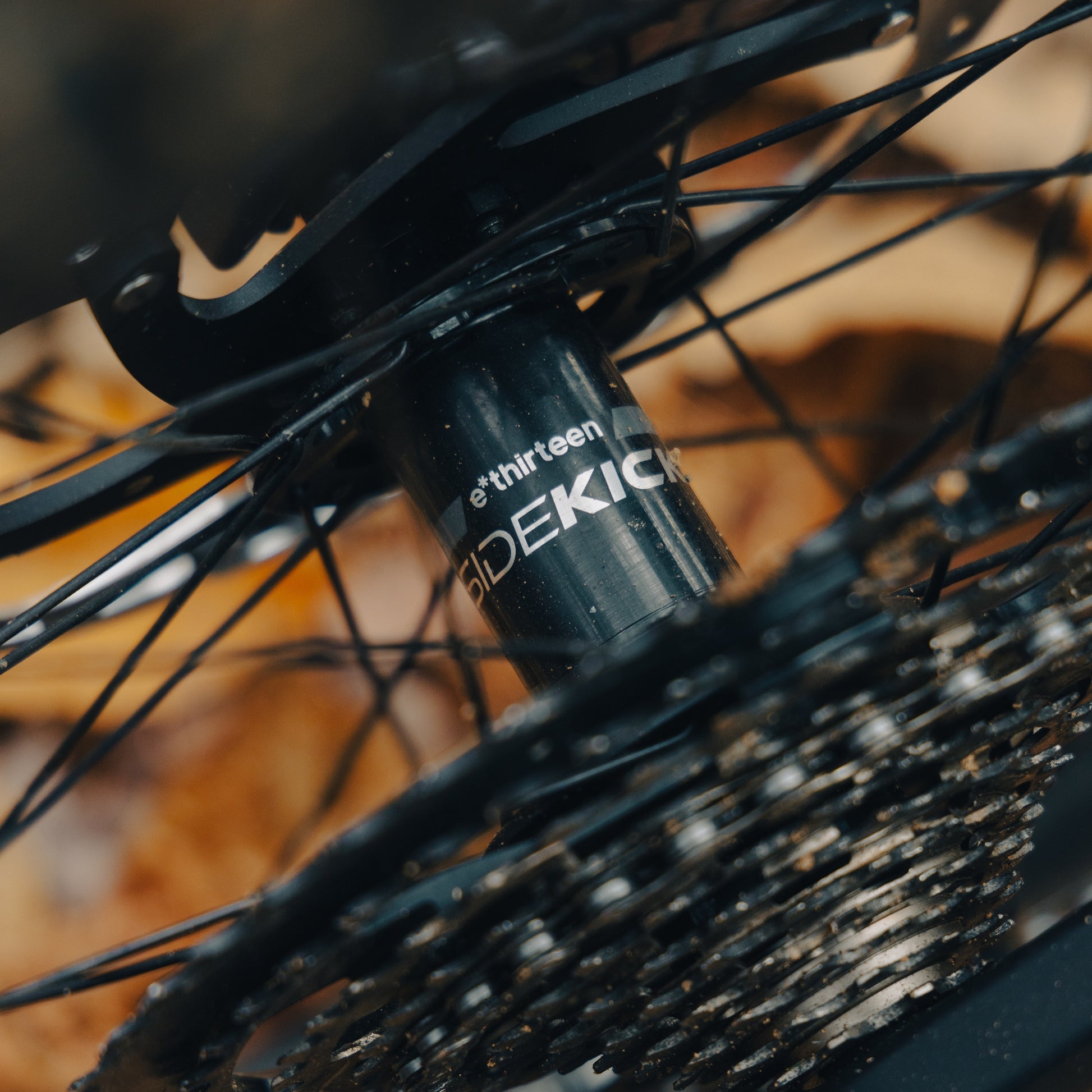 e*thirteen Sidekick 2.0 ハブ前後セット boost – Grumpy Bike Shop