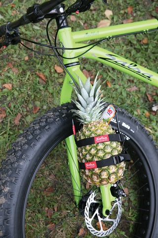 Salsa Cycles / ANYTHING CAGE – Grumpy Bike Shop