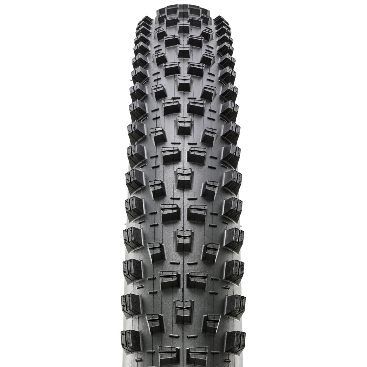 MAXXIS FOREKASTER EXO マキシス – Grumpy Bike Shop